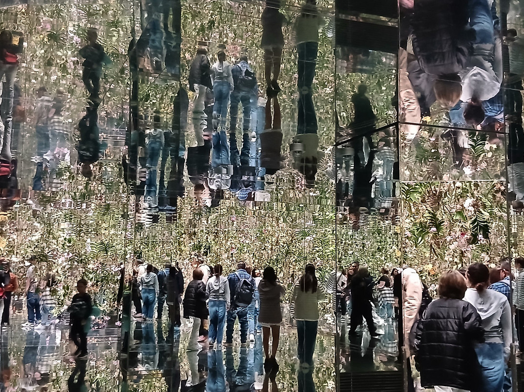 teamLab Planets TOKYO-Toyosu必去景点