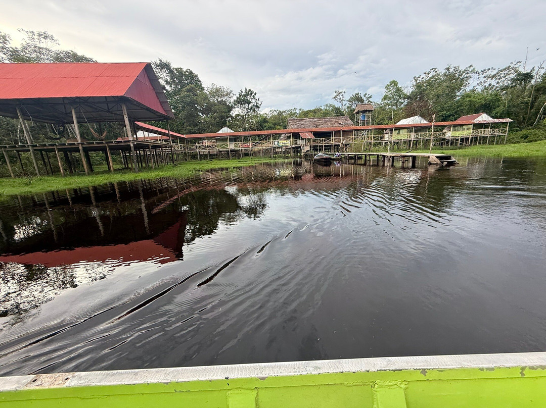 Luz Y Vida Amazon Lodge