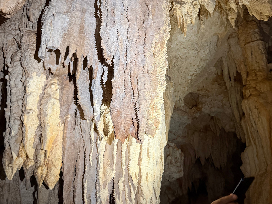 Cayman Crystal Caves-大开曼岛必去景点