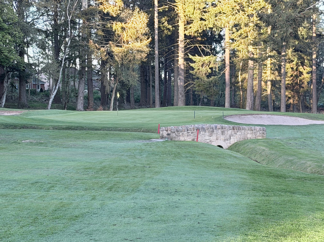 Downfield Golf Club-敦提必去景点