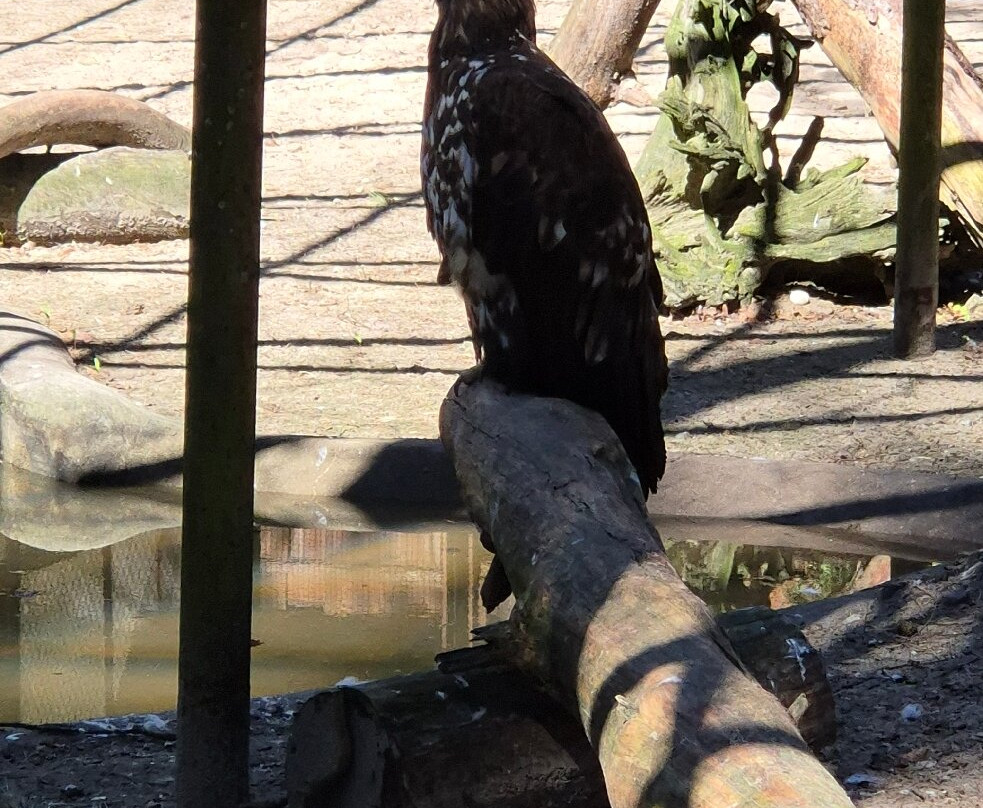 Riga Zoo-里加必去景点
