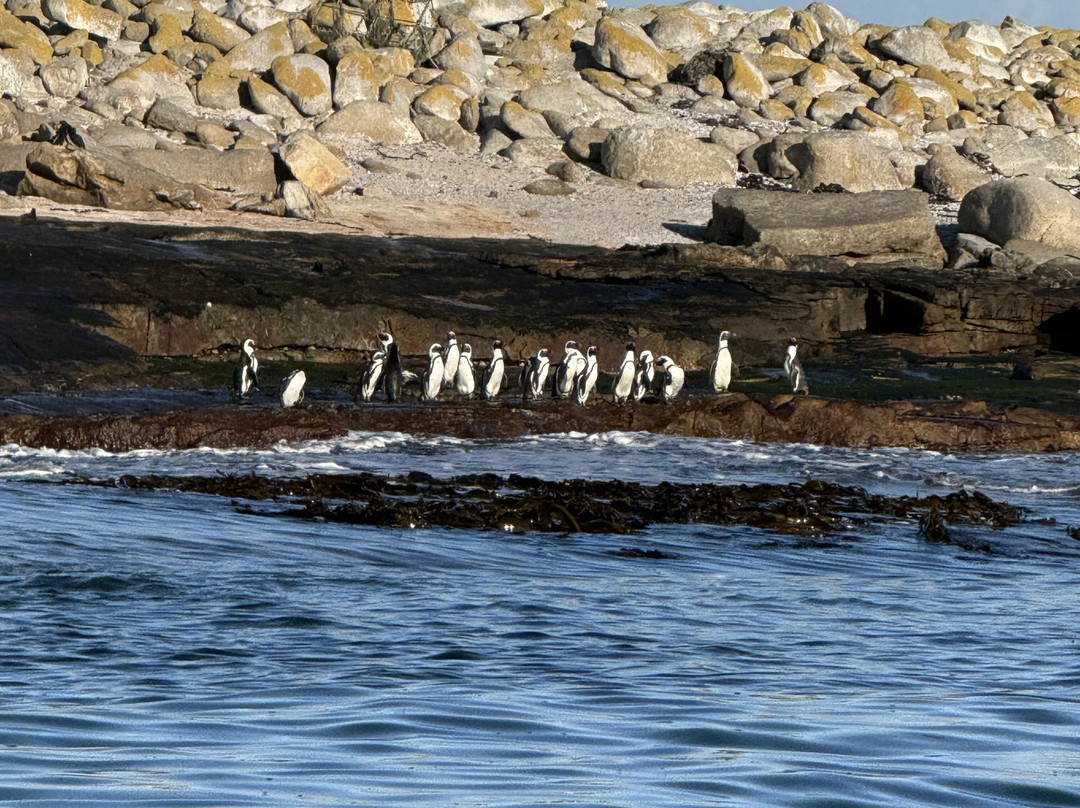 Yzerfontein Sea Sport-Yzerfontein必去景点