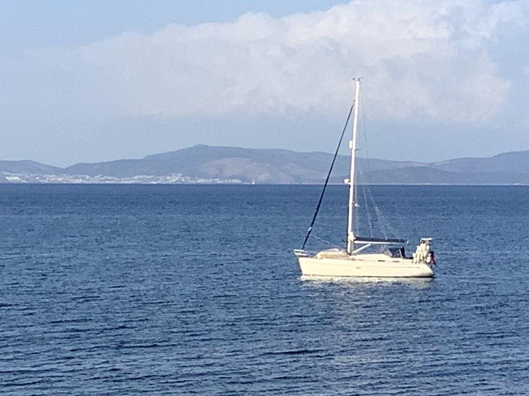 Celeste Lakefront