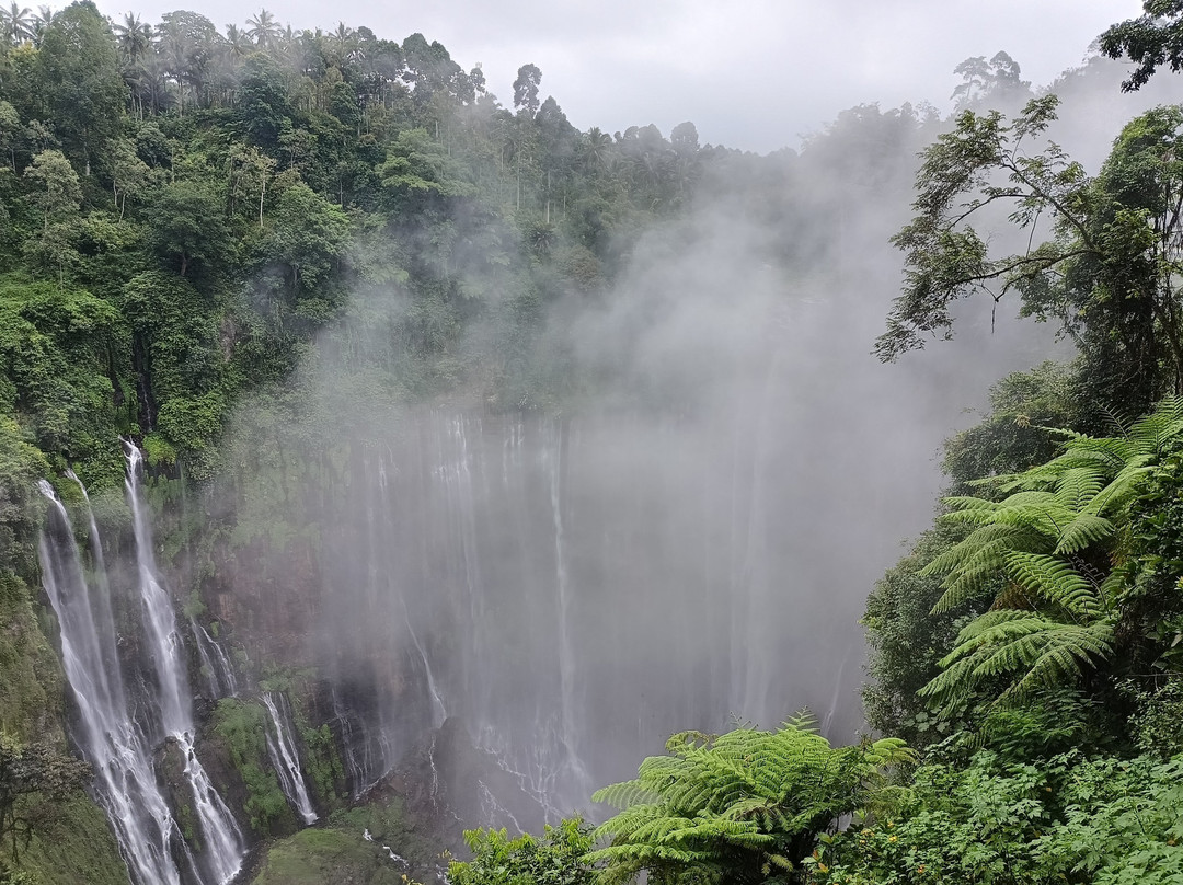 Bromo Eco Tourism-玛琅必去景点