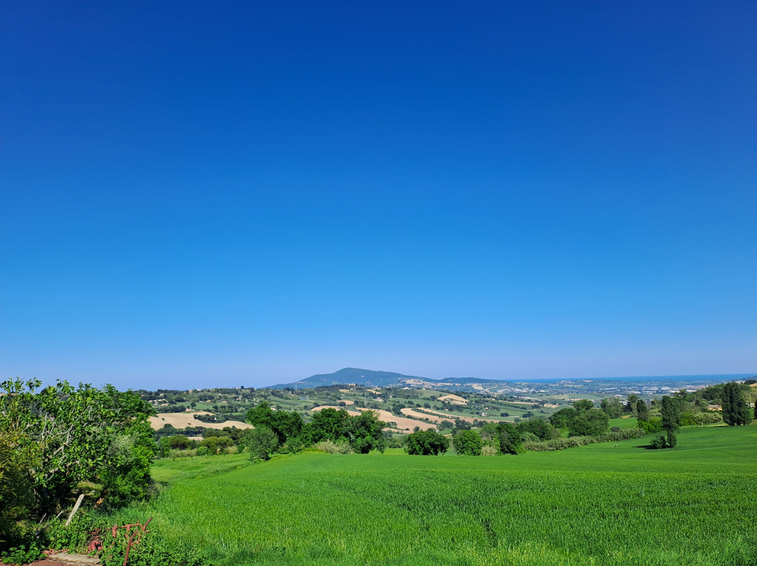 B&B Madonna Carradori Country