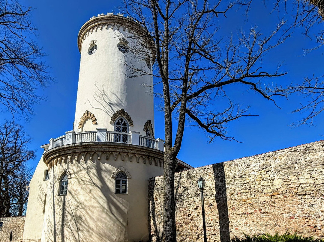 Cēsis Medieval Castle-Cesis必去景点