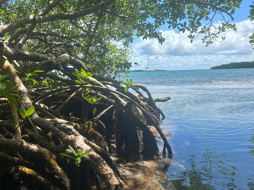 Mar'eau Kayak-Sainte Rose必去景点