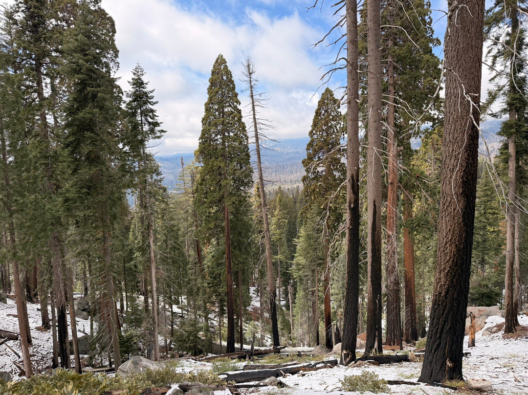 Sequoia and Kings Canyon National Parks-Three Rivers必去景点