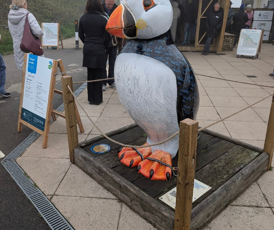 RSPB Bempton Cliffs-Bempton必去景点