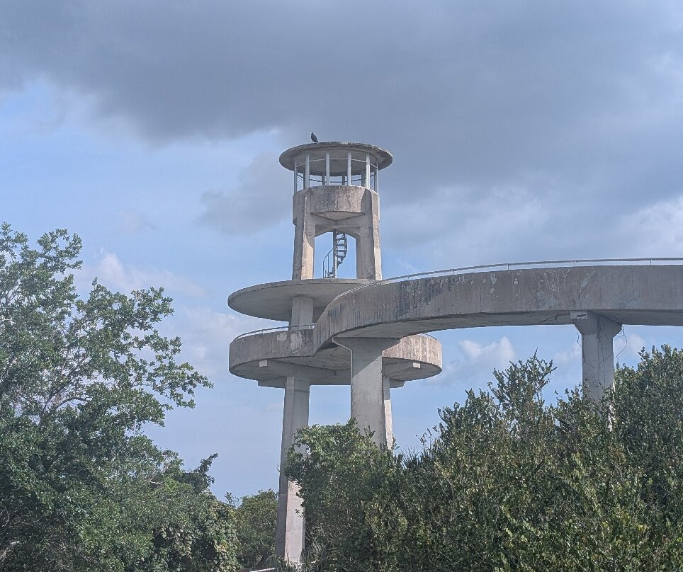 鲨鱼谷-大沼泽国家公园必去景点
