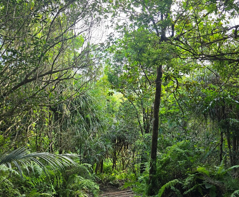 Grande Montagne Nature Reserve-罗德里格斯岛必去景点