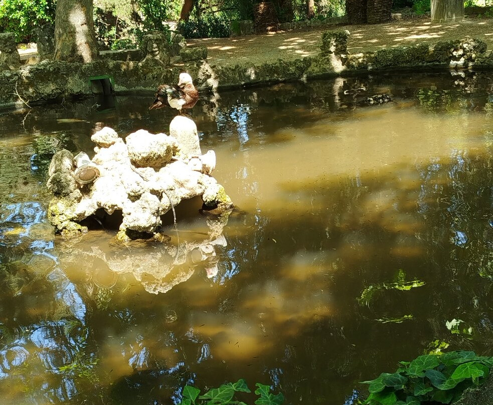 Rodini Park-罗德斯必去景点