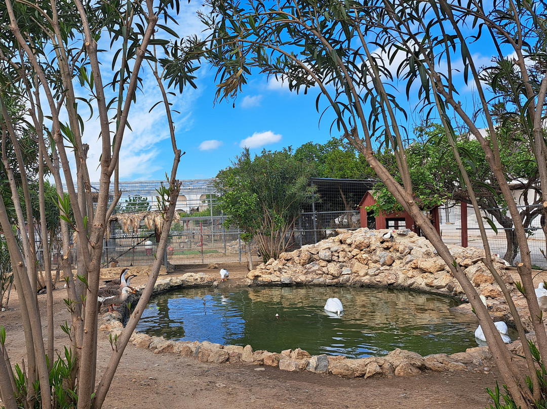 Erika's Horse Farm Kos-Marmari必去景点
