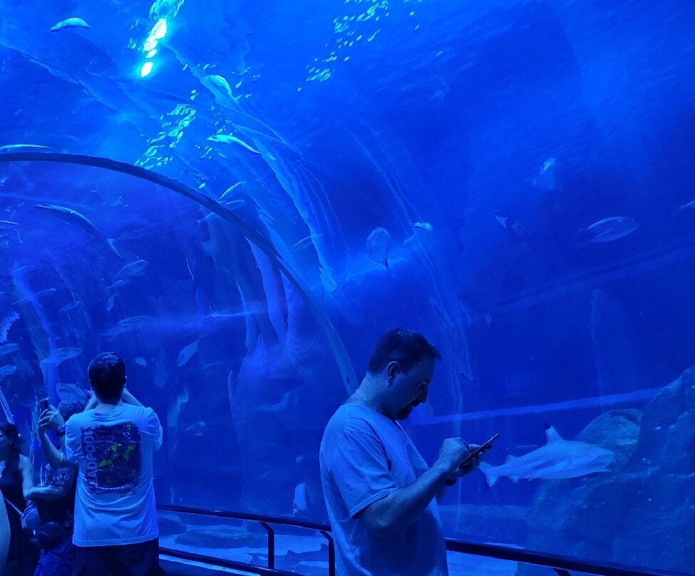 AquaRio-里约热内卢必去景点