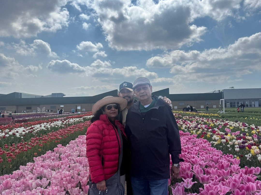 The Tulip Barn-Hillegom必去景点