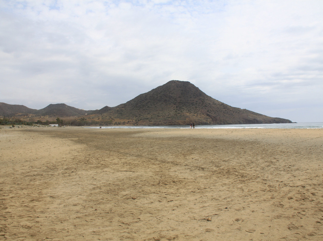 Playa de los Genoveses-加塔角必去景点
