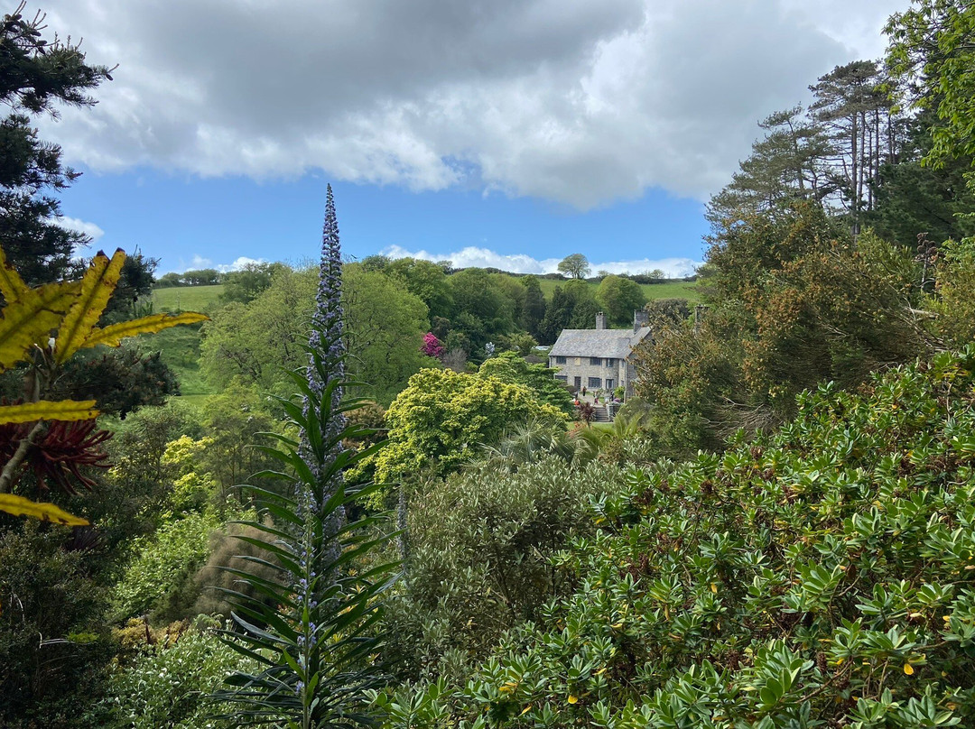 Coleton Fishacre-Kingswear必去景点