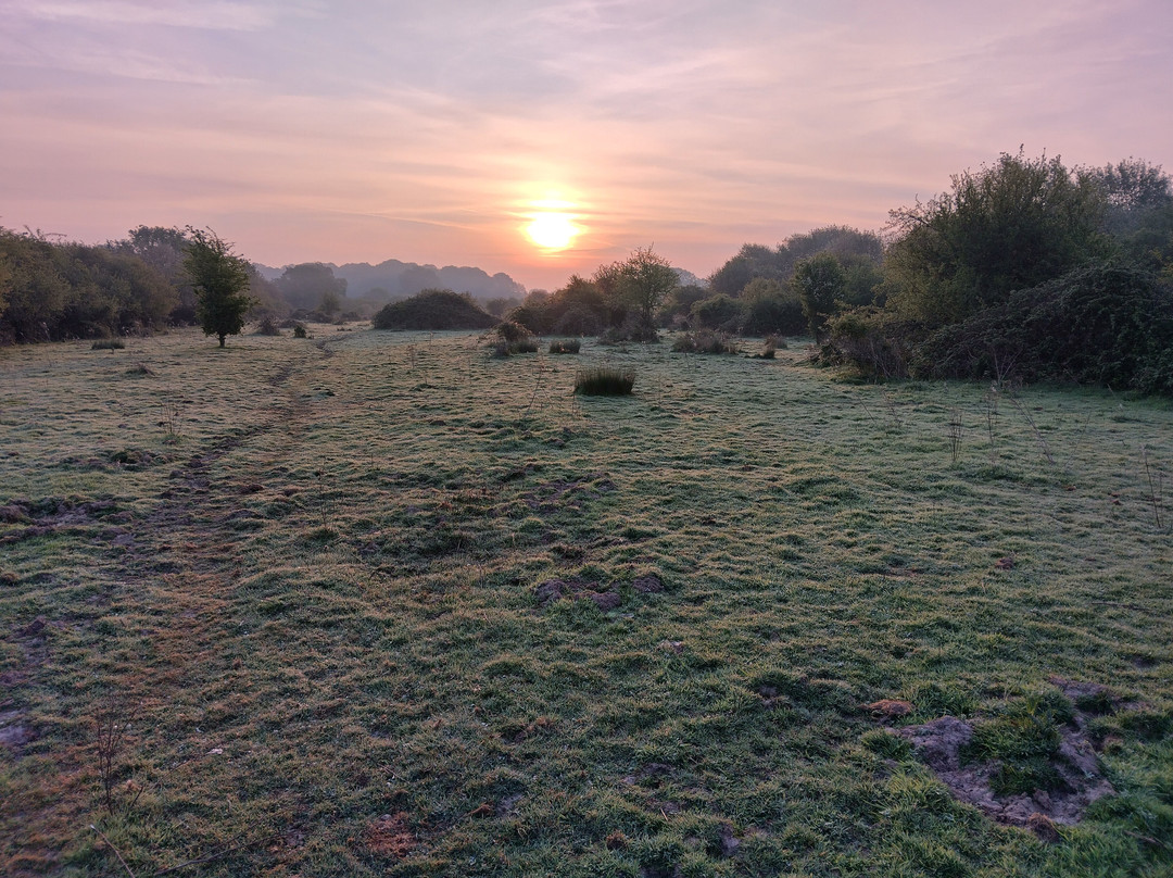 Knepp Wildland Safaris-霍舍姆必去景点