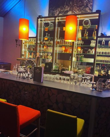 迪尔贝格会议和健康酒店-旅行者