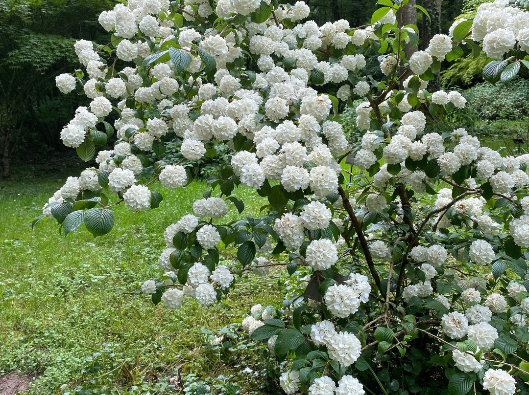Domaine de Poulaines-Poulaines必去景点