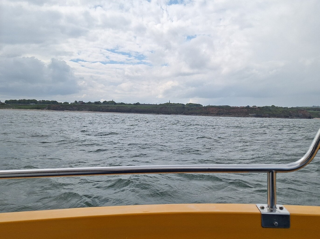 Berwick Boat Trips-特威德河畔贝里克必去景点