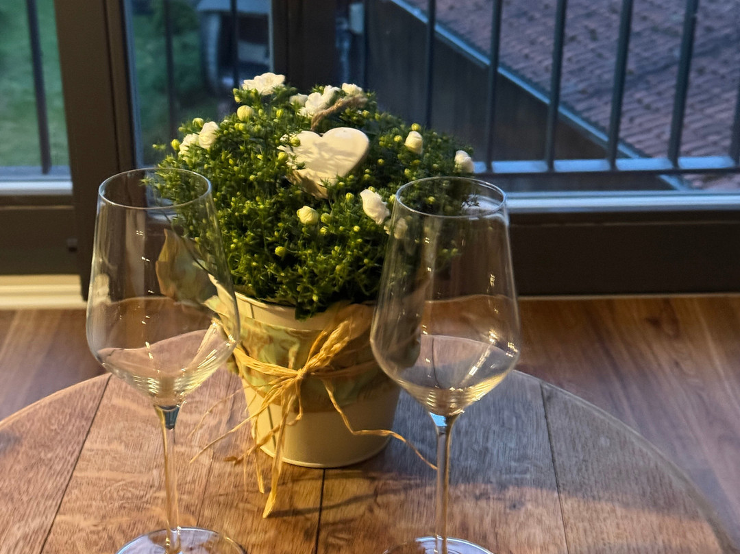 弗里特兹瓦特红酒酒店主图