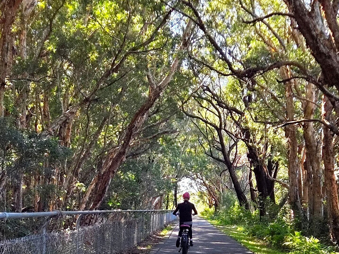 Fernleigh Track-纽卡斯尔必去景点