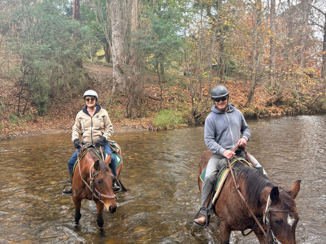 Watson's Mountain Country Trail Rides - Day Tours-曼斯菲尔德必去景点