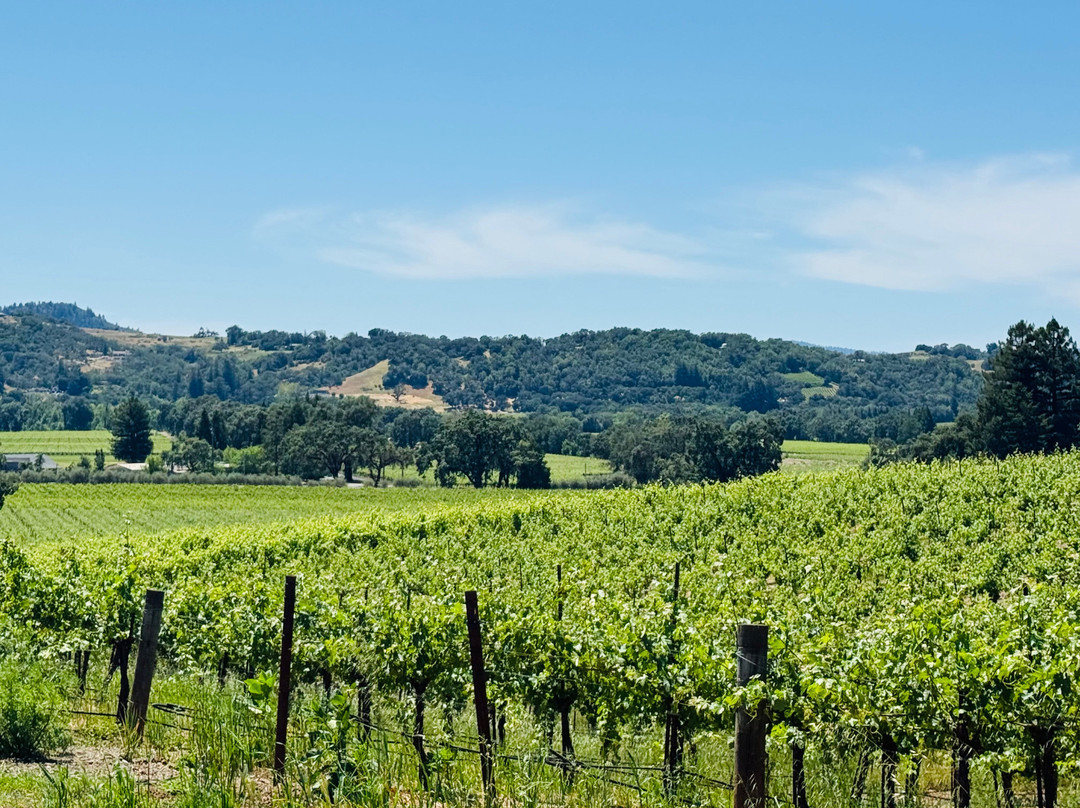 Alexander Valley Vineyards-希尔兹堡必去景点