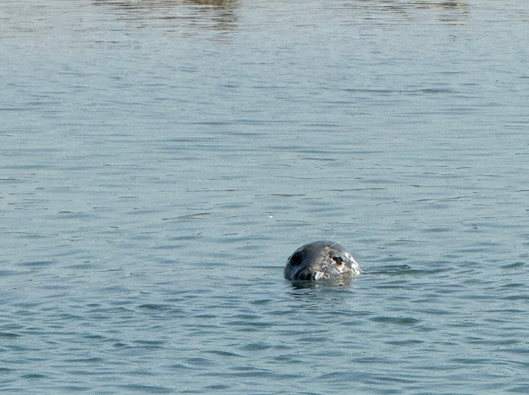 Dover Sea Safari-多佛必去景点