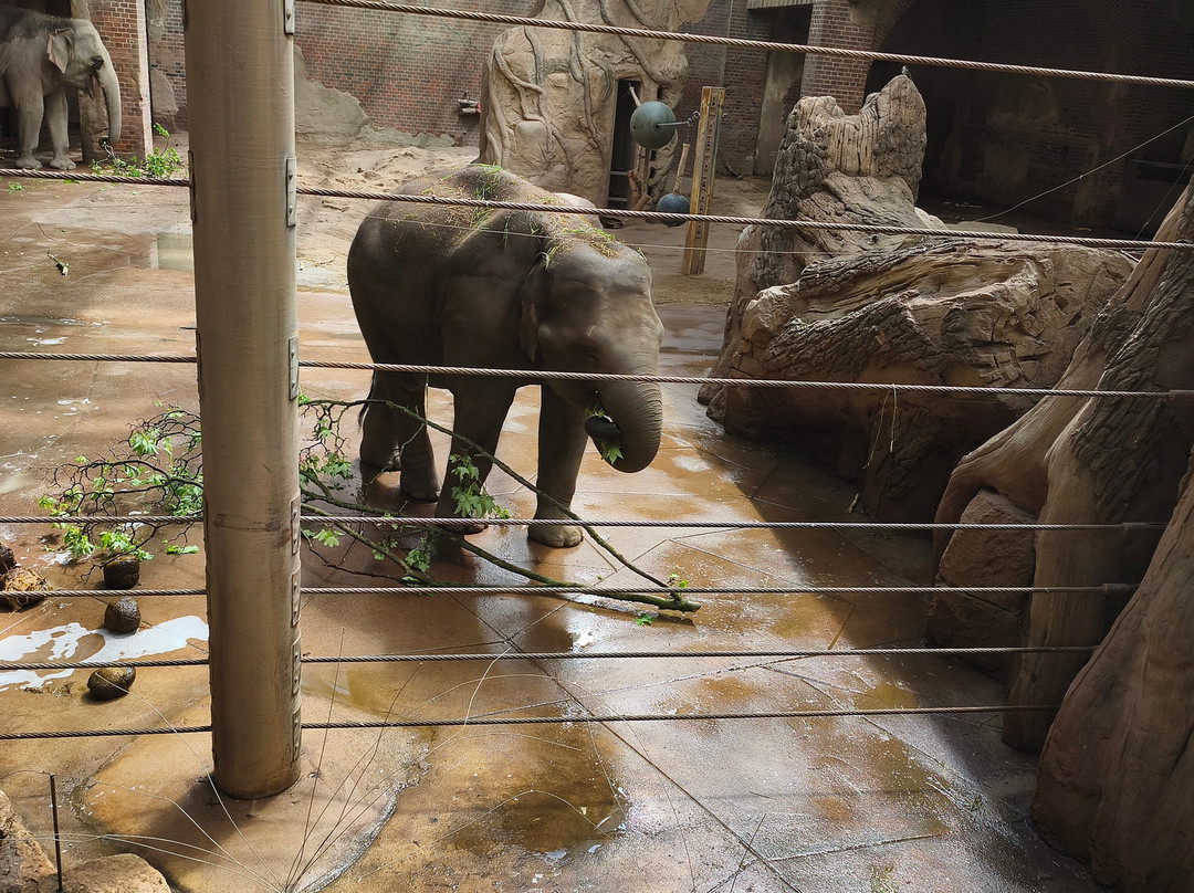 Zoo Leipzig-莱比锡必去景点