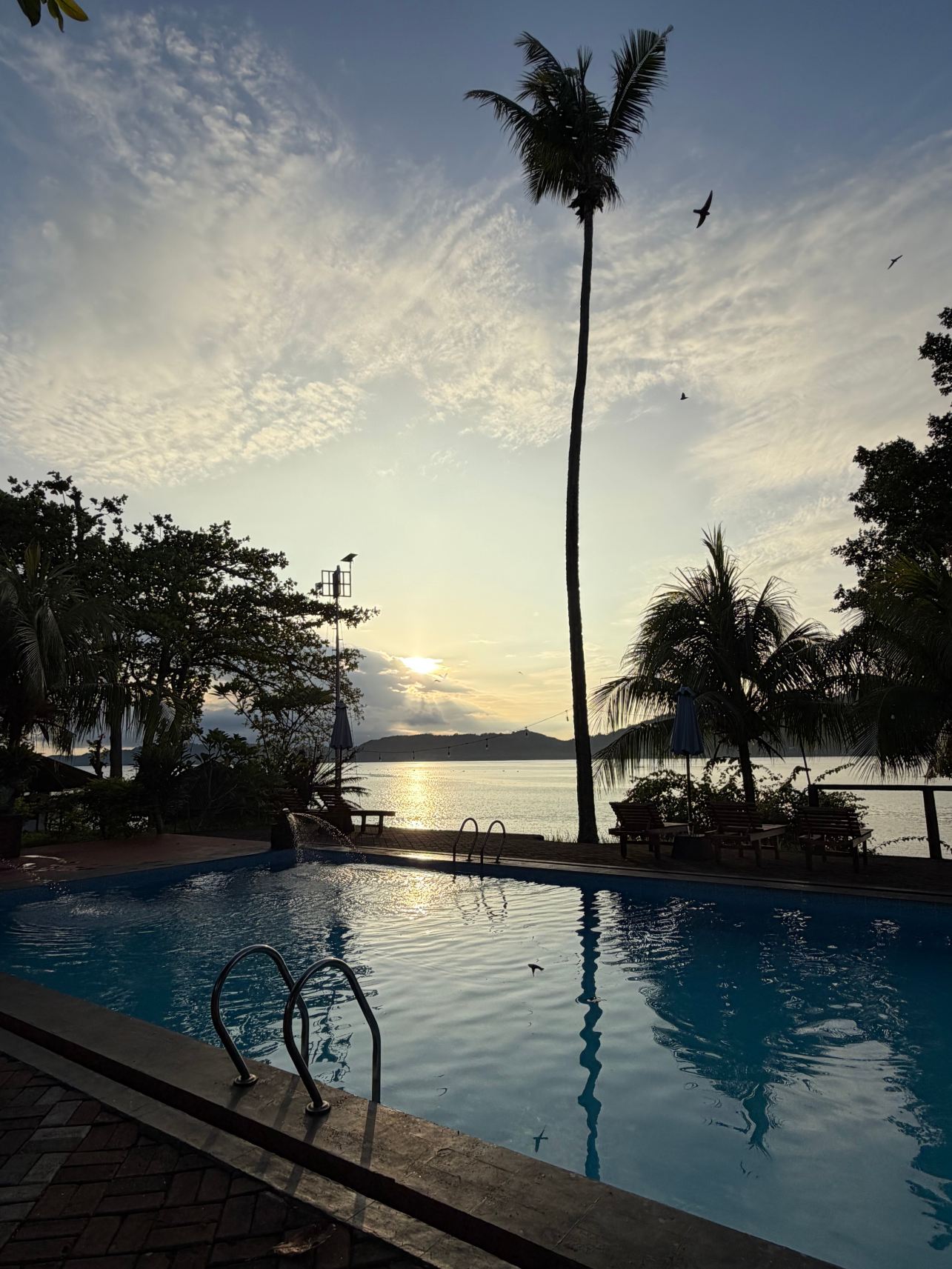 Dive Into Lembeh-旅行者