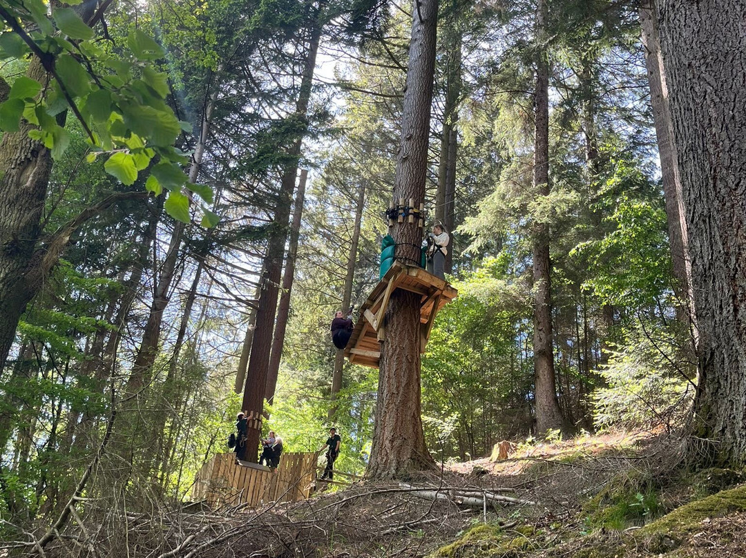 Highland Fling Bungee-Killiecrankie必去景点