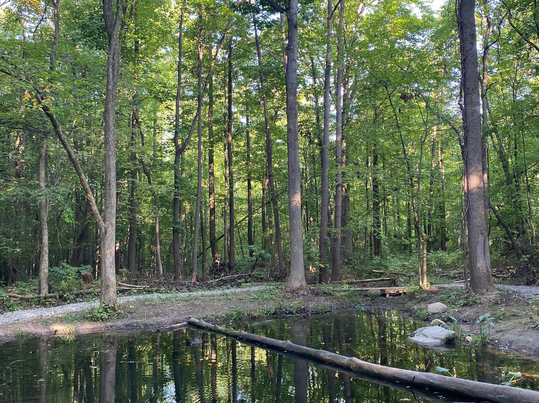 Lake Metroparks Penitentiary Glen Reservation-Kirtland必去景点