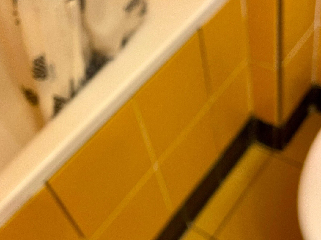 巴黎迪士尼圣达菲酒店®主图