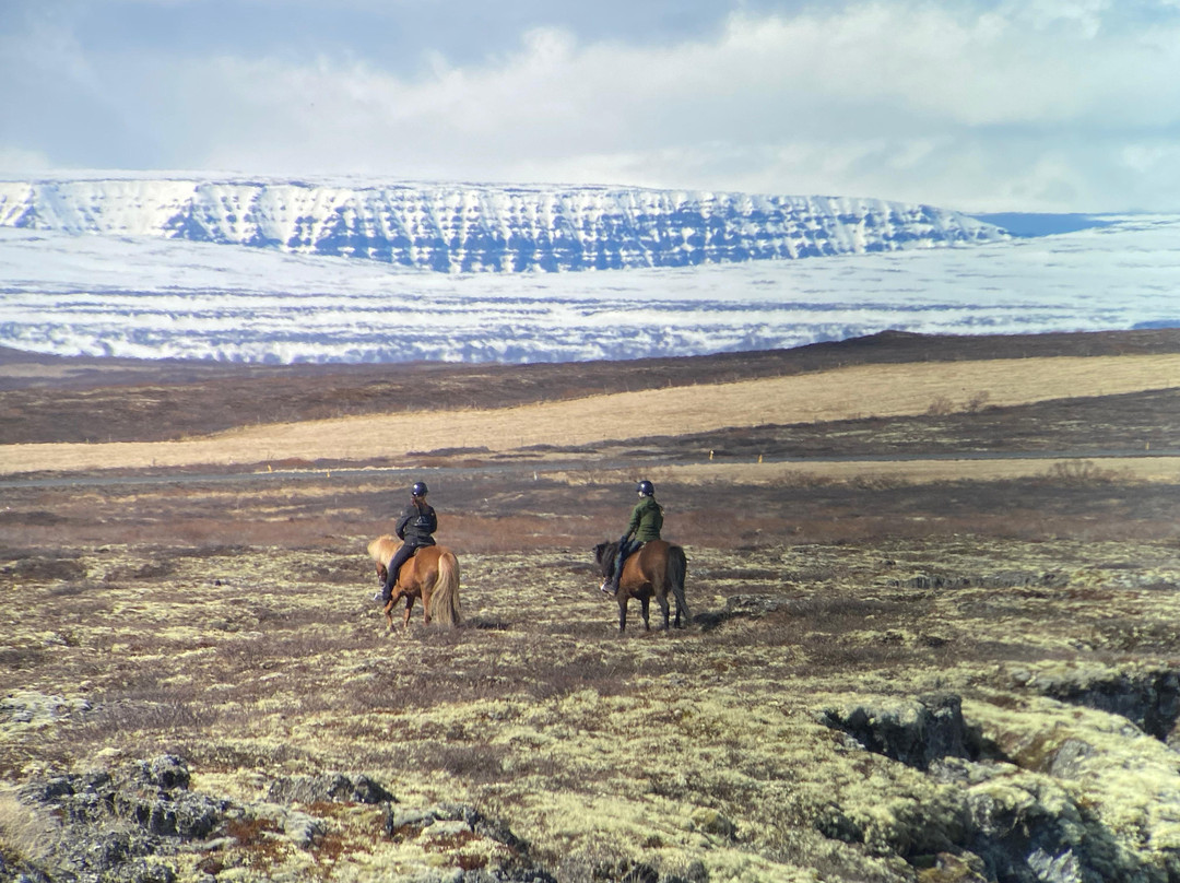 Safari Horse Rental-米湖必去景点