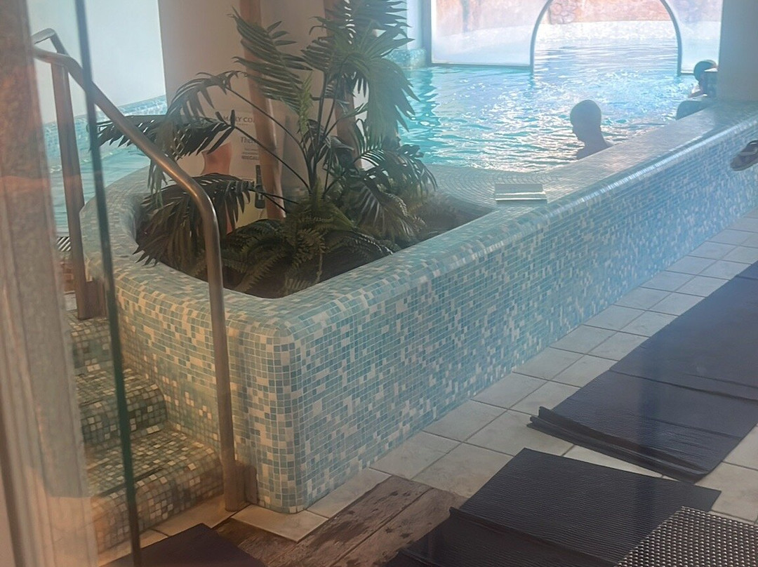 Park Hotel Terme Michelangelo主图