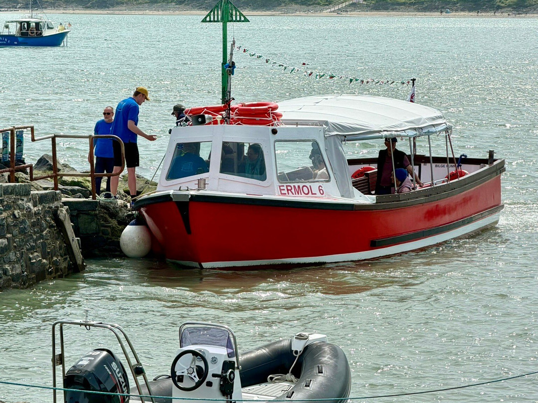 Dolphin Spotting Boat Trips (by New Quay Boat Trips)-纽基必去景点