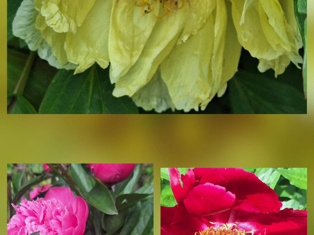 Die heangenden Garten der Sulamith-St. Kathrein am Offeneg必去景点