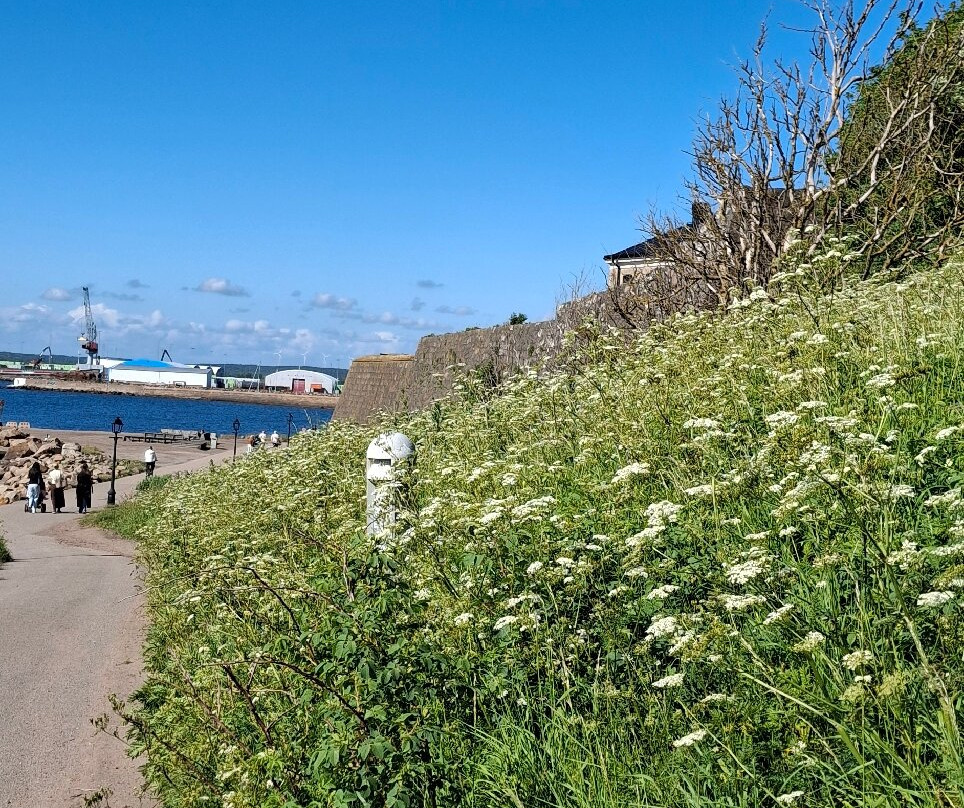 Beach Promenade-瓦尔贝里必去景点