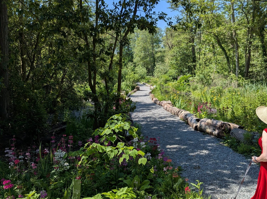 Fairhaven Woodland and Water Garden-South Walsham必去景点