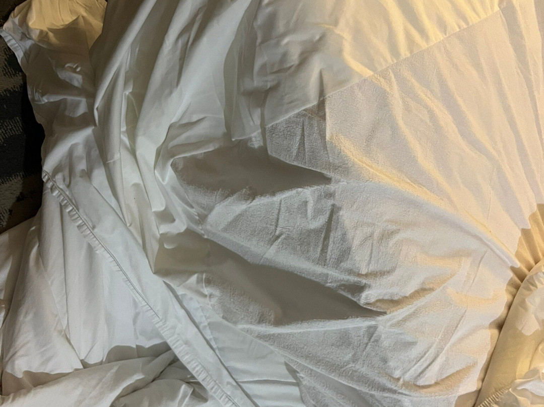 拉斯顿贝斯特韦斯特优质酒店主图