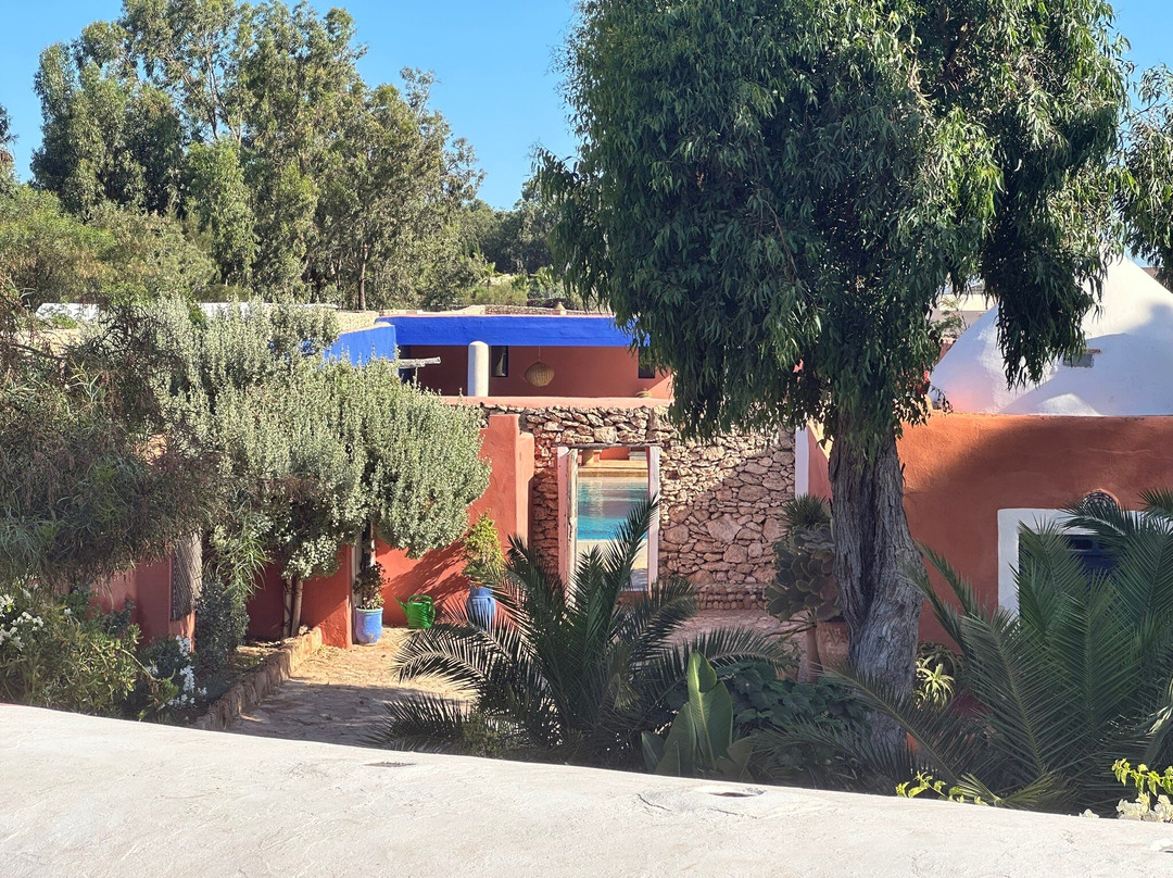 Riad Baoussala主图