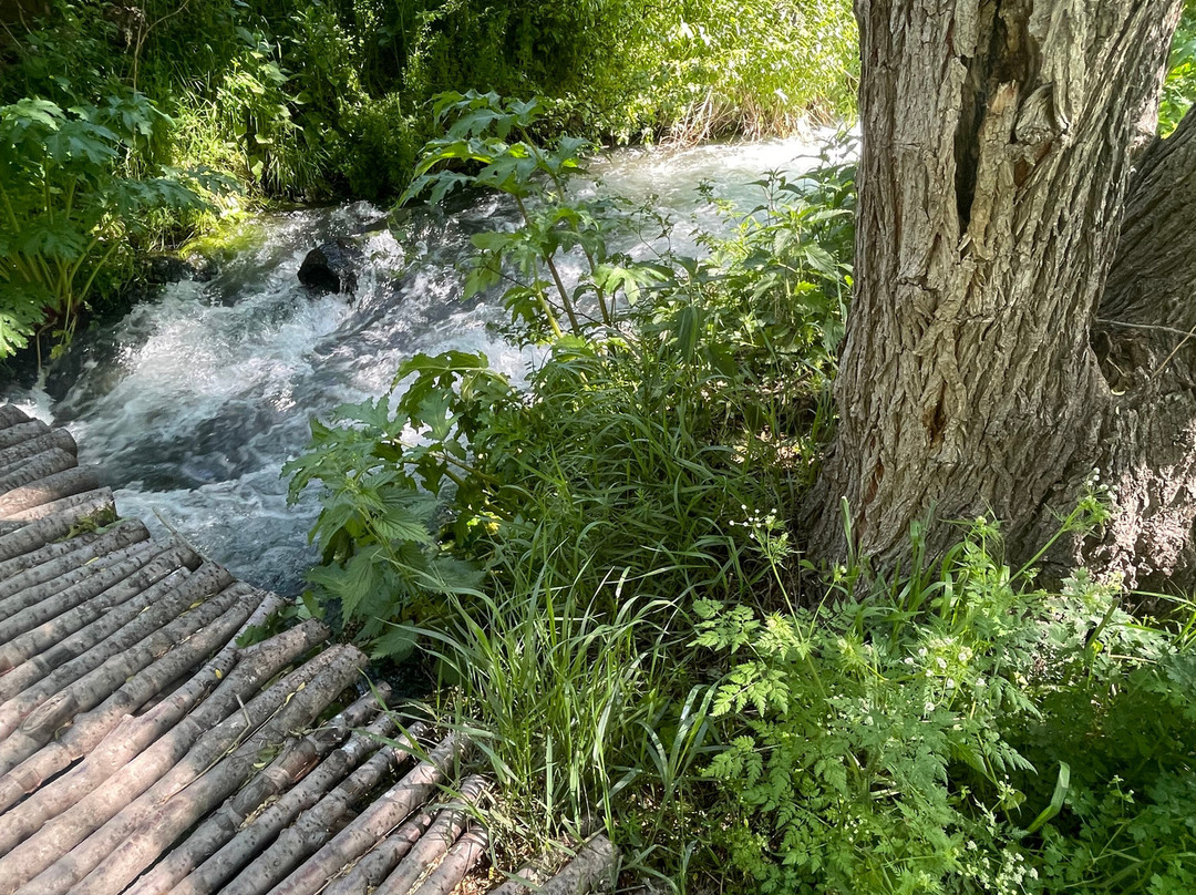 Shaki Waterfall-Sisian必去景点