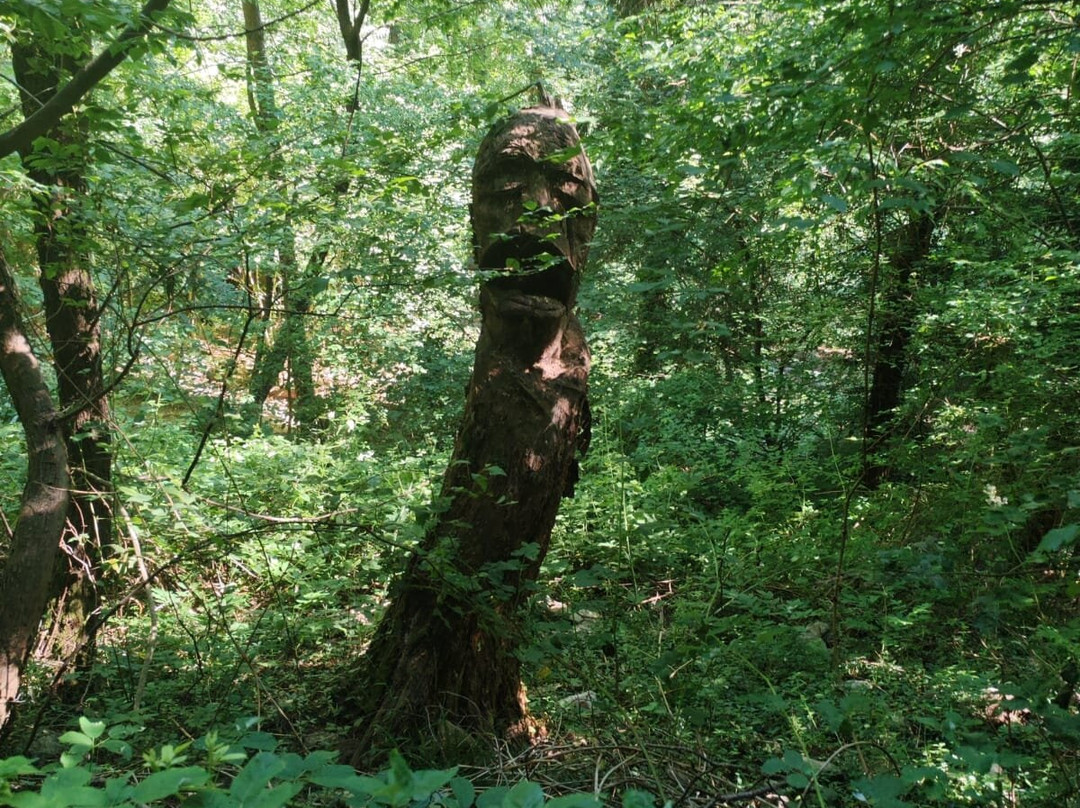 Sentiero Spirito del Bosco-Canzo必去景点