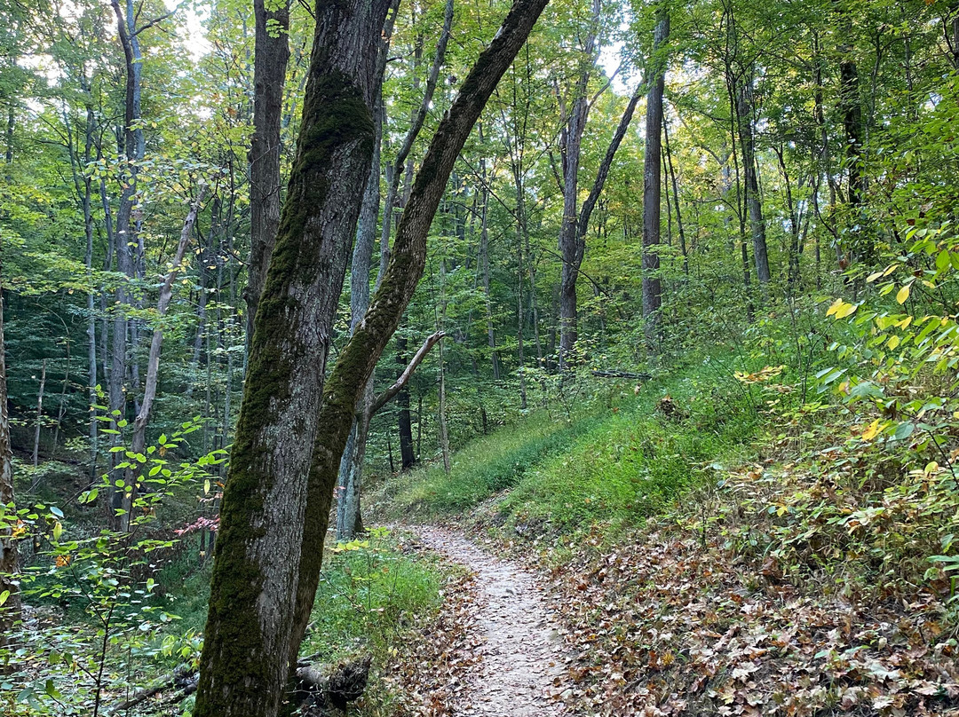 East Fork State Park-Bethel必去景点