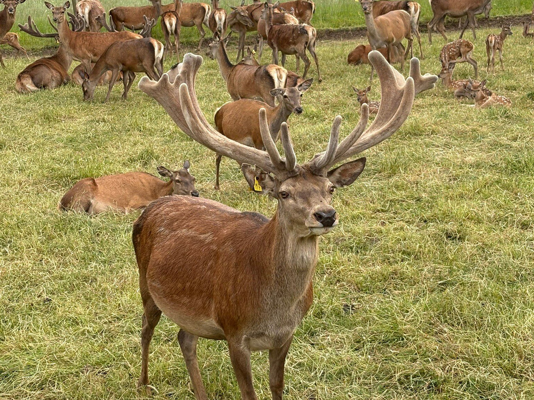 Sledmere House And Gardens-Driffield必去景点