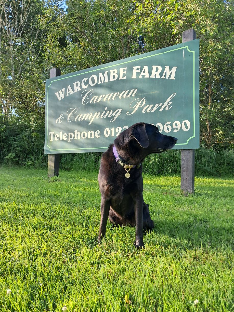 Warcombe Farm Camping Park-旅行者
