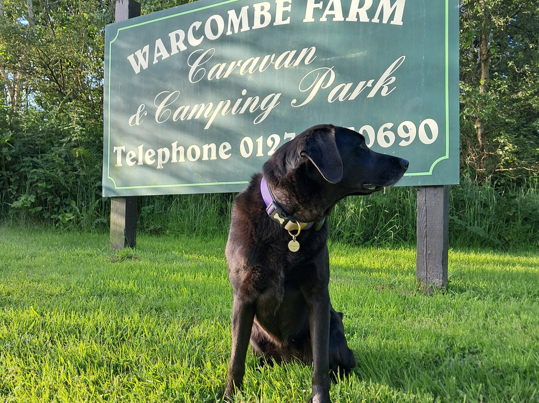 Warcombe Farm Camping Park主图