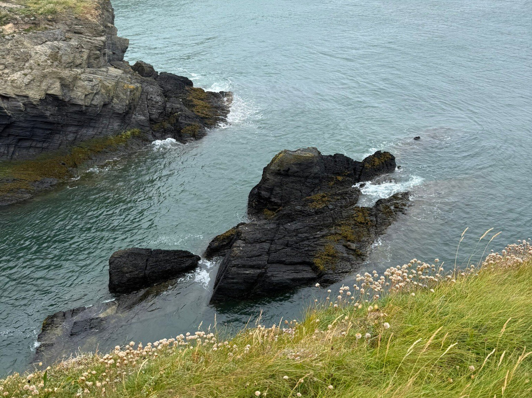 Cardigan Island Coastal Farm Park-Cardigan必去景点